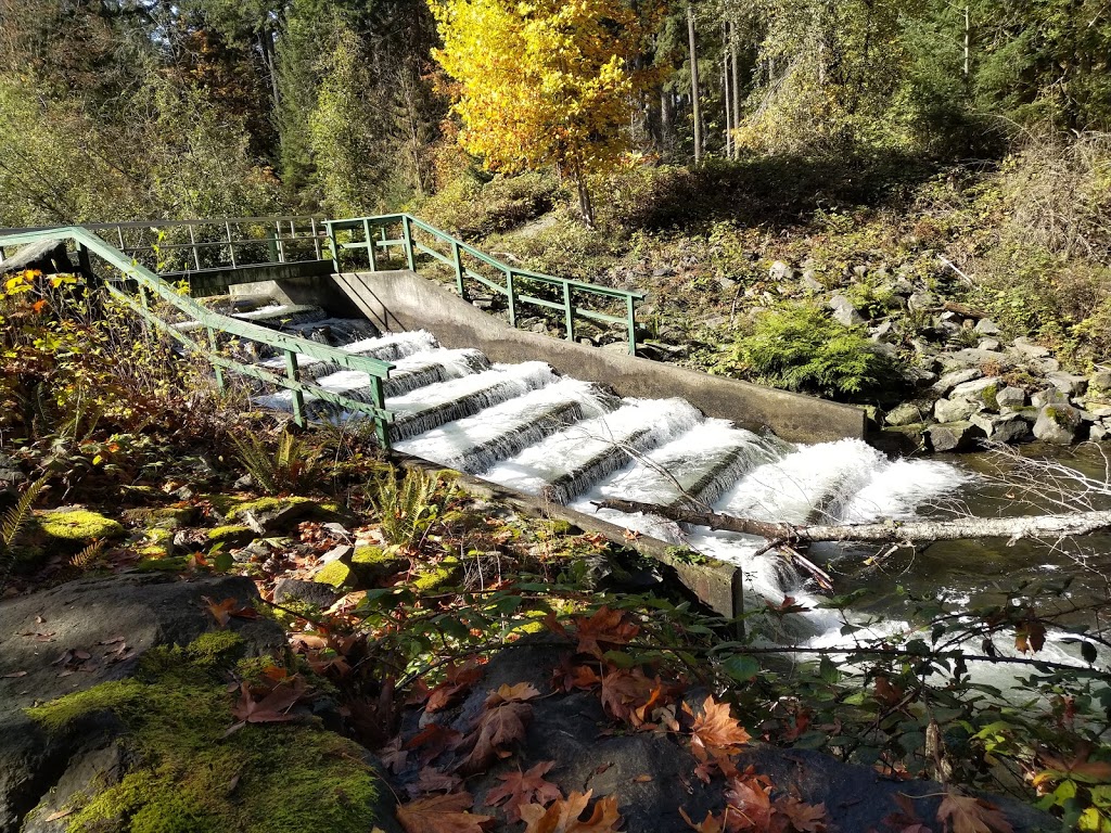 Nanaimo River Regional Park | Nanaimo A, BC V9X 1T2, Canada | Phone: (250) 248-3252
