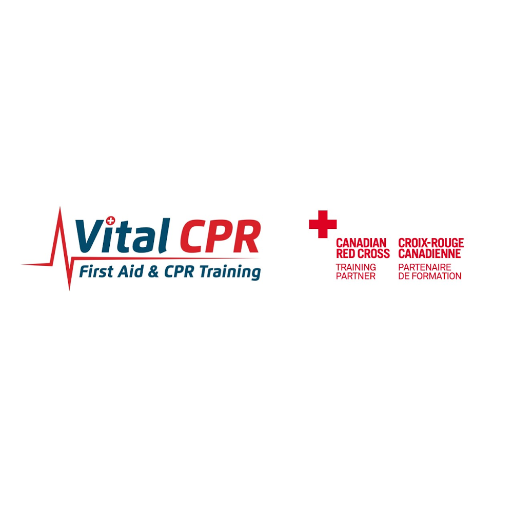 Vital CPR - First Aid Training | 626 Sheppard Avenue West Sheppard Plaza - Lower Level - Unit C, North York, ON M3H 2S1, Canada | Phone: (416) 855-7813