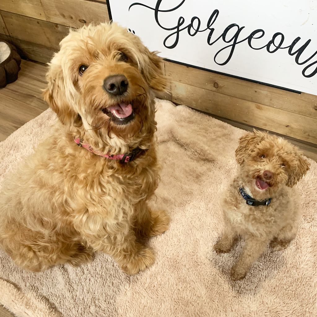 Walnut Grove Daycare Boarding and Spaw | 693 Pinewood School Rd, Castleton, ON K0K 1M0, Canada | Phone: (905) 396-1397