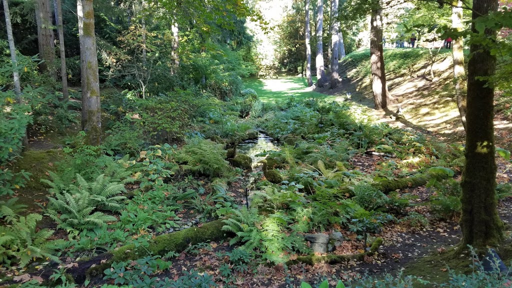 Bog Garden | Brentwood Bay, BC HX12B, Canada