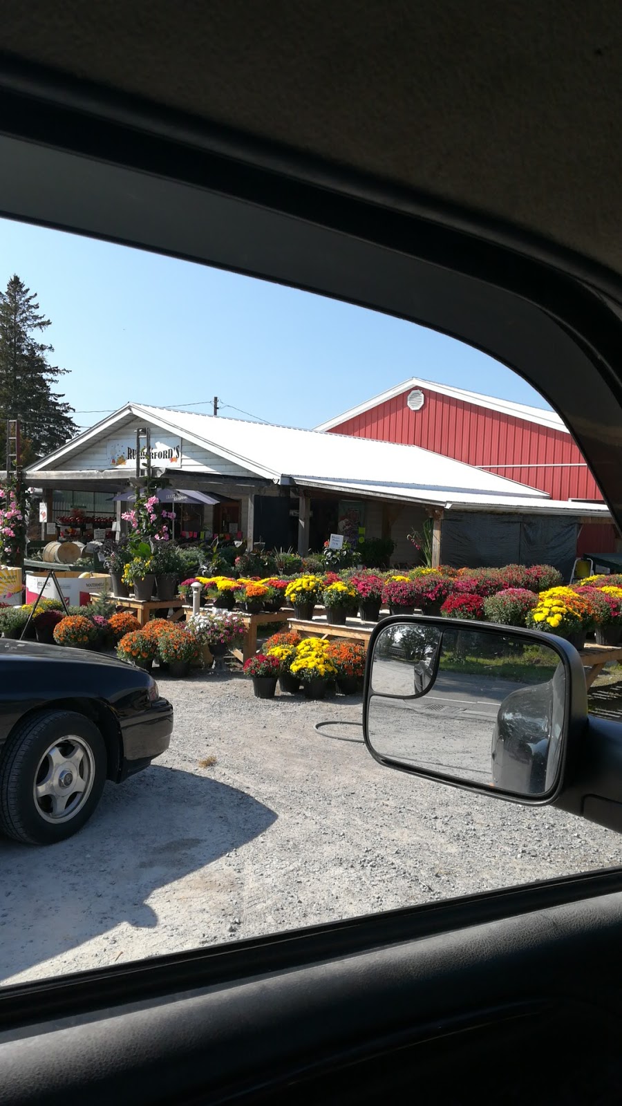Rutherfords Farm and Roadside Market | 205 King St E, Colborne, ON K0K 1S0, Canada | Phone: (905) 355-3024