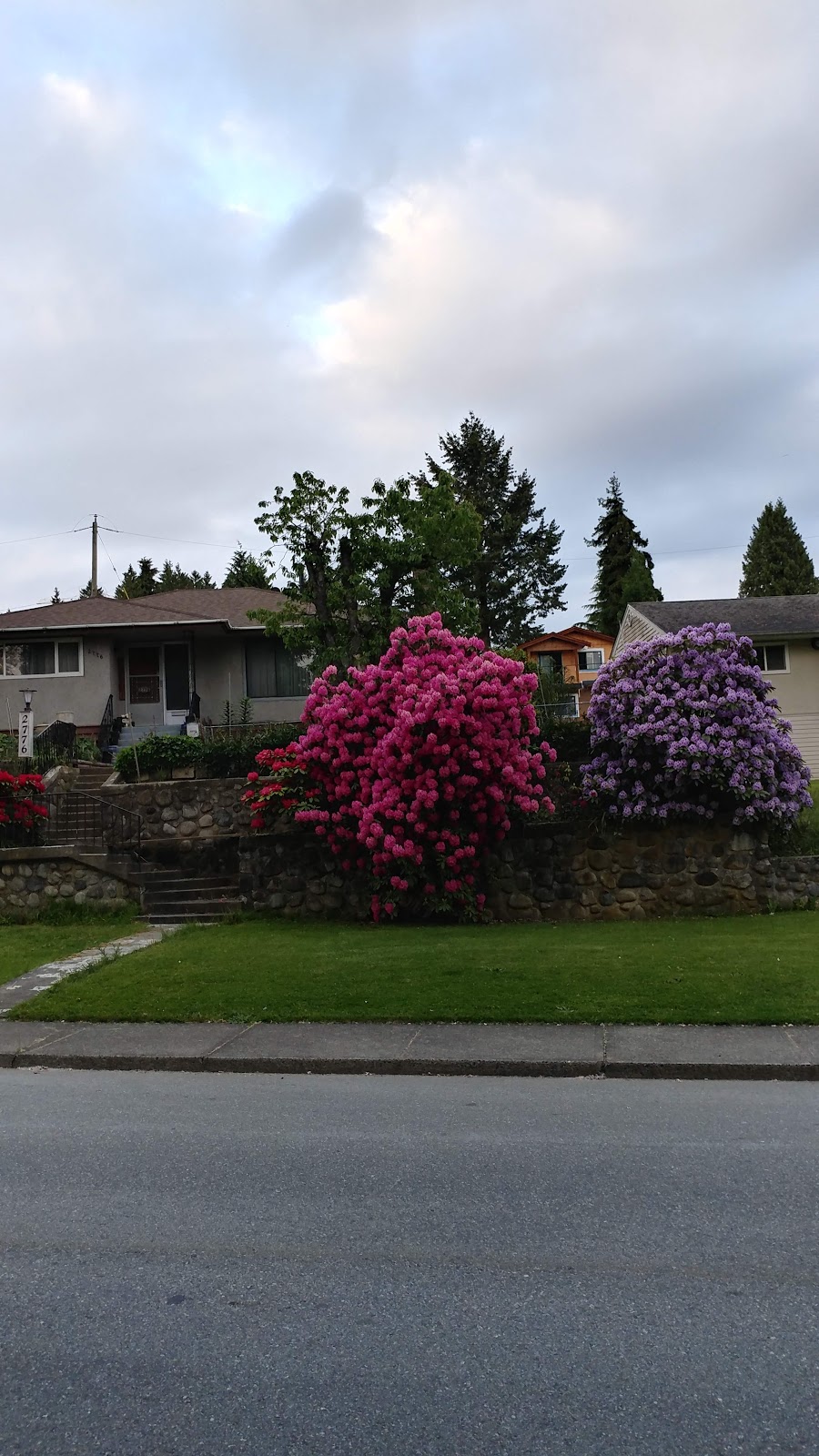 Lyndhurst Park | 9681 Casewell St, Burnaby, BC V3J 1G7, Canada | Phone: (604) 294-7450