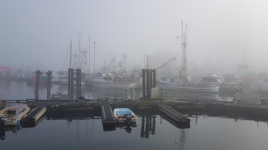 Tea On The Quay | 90 Front St #3, Nanaimo, BC V9R 5H7, Canada | Phone: (250) 591-0330