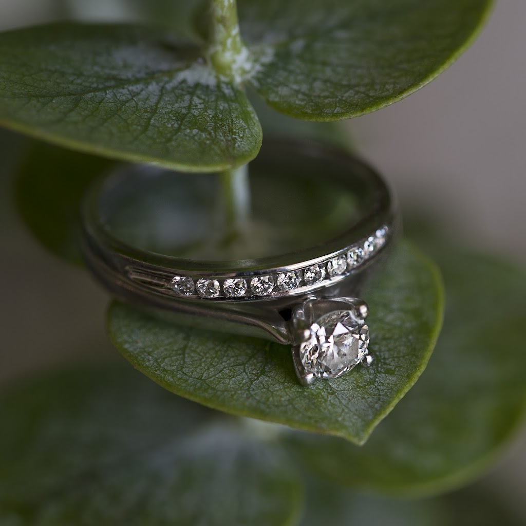 Bree-Ann Merritt Photography | 497 Thompson Dr, Winnipeg, MB R3J 3X6, Canada | Phone: (204) 250-3881