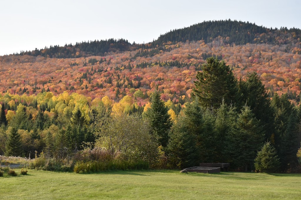 Municipalité de Sainte-Lucie-de-Beauregard - 21 Rte des Chutes, Sainte ...