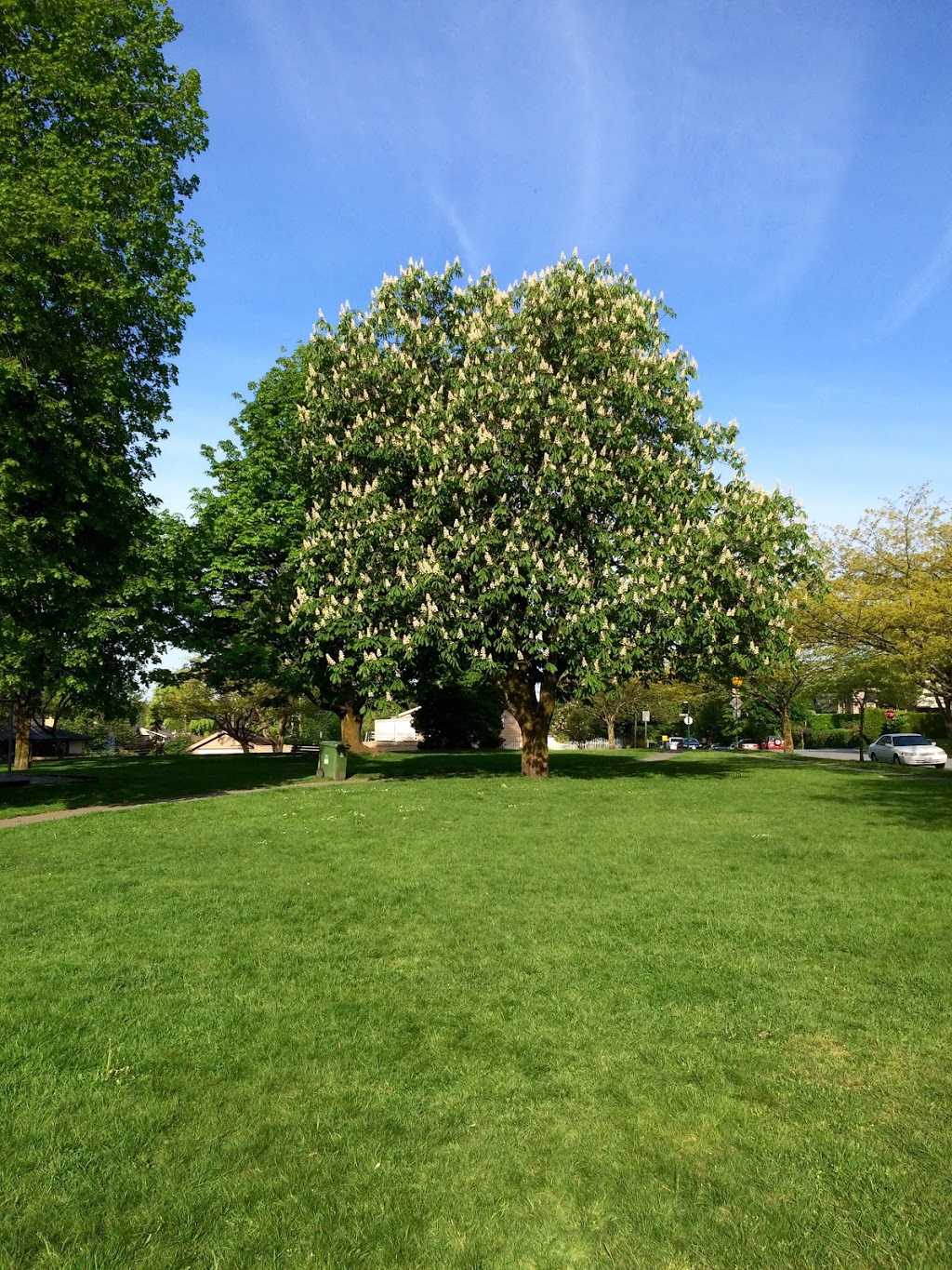 MacDonald Park | 300 E 44th Ave, Vancouver, BC V5W 1W1, Canada
