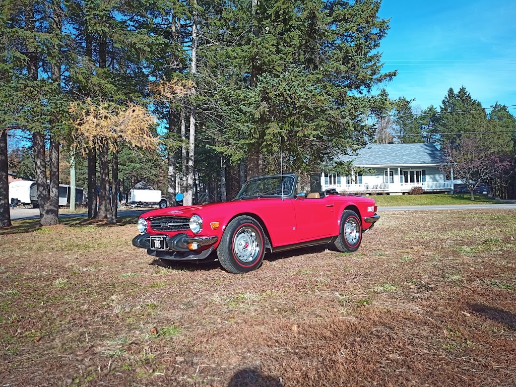 Tremblant Auto Spa | 1035 Rue Saint Roch, Mont-Tremblant, QC J8E 2Y9, Canada | Phone: (819) 681-1899