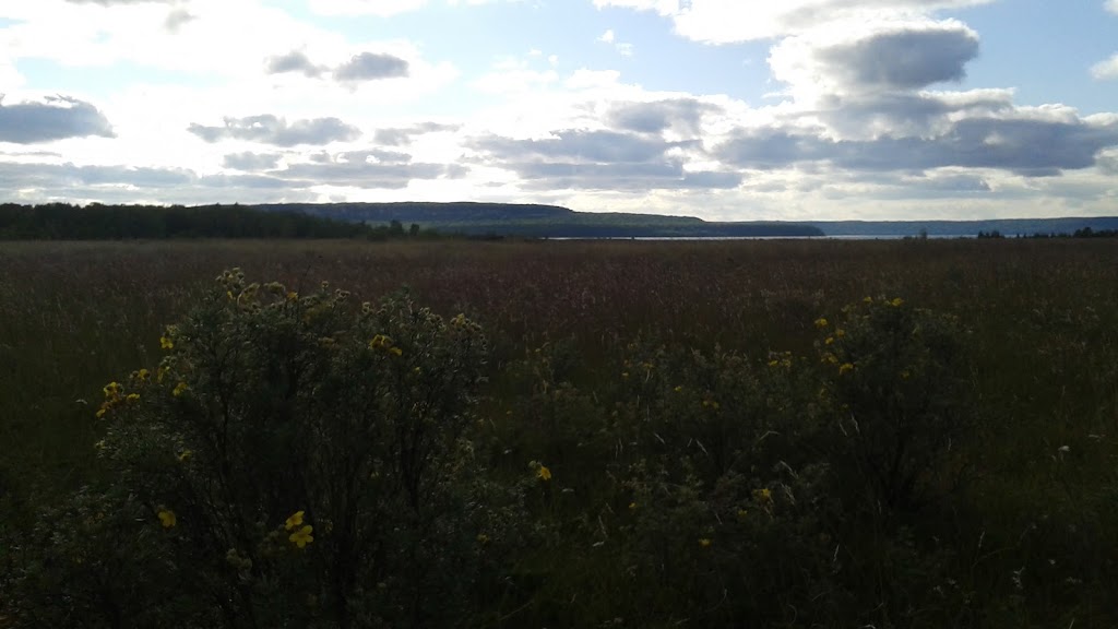 Nawash First Nation Rec Dept | 34 Community Centre Rd, Wiarton, ON N0H 2T0, Canada | Phone: (519) 534-3266