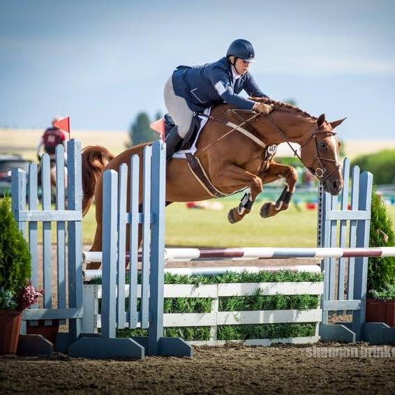 ABEquestrian | 3950 88 St, Delta, BC V4K 3N3, Canada | Phone: (778) 892-0616