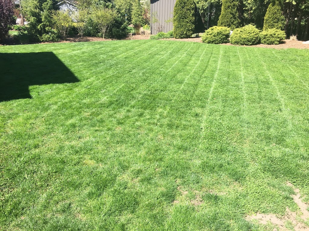 JMD Lawn Care | 16 Joanne Crescent, Elora, ON N0B 1S0, Canada | Phone: (437) 241-2127