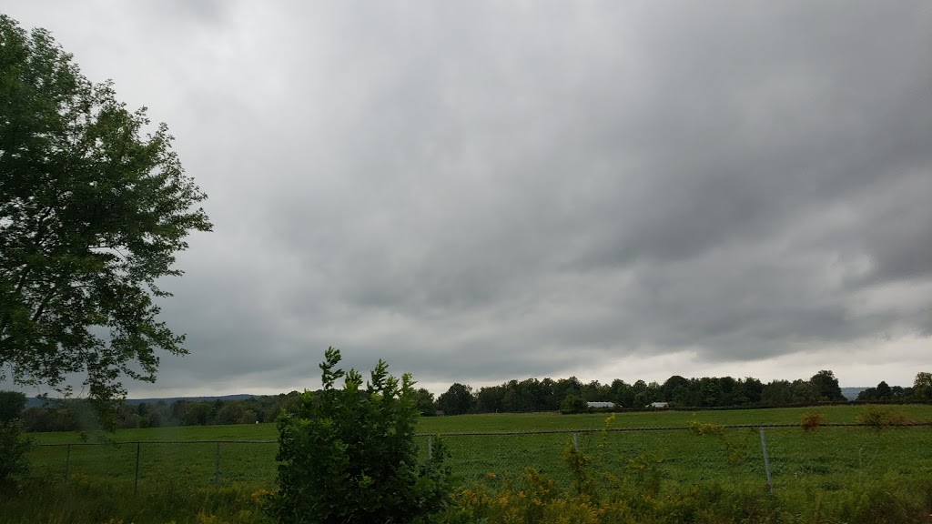 Trailwood Farms | 15276 Dixie Rd, Inglewood, ON L7C 2M3, Canada | Phone: (519) 803-8683