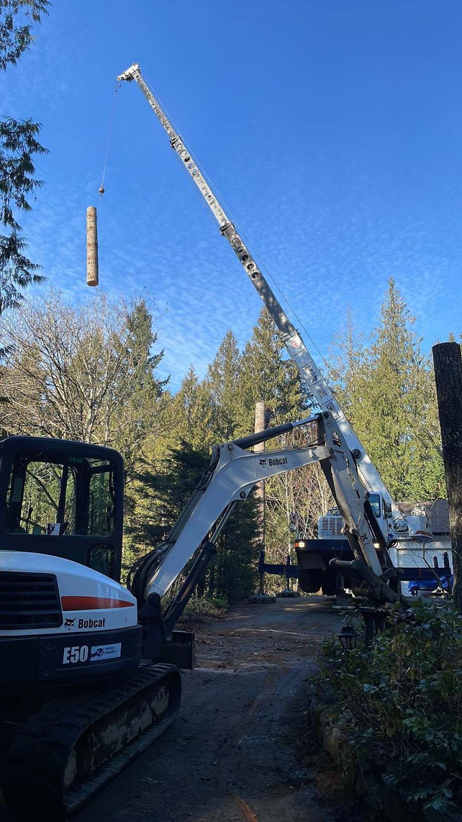 Competition Tree Service | Shawnigan Lake, BC V0R 2W0, Canada | Phone: (250) 744-6498