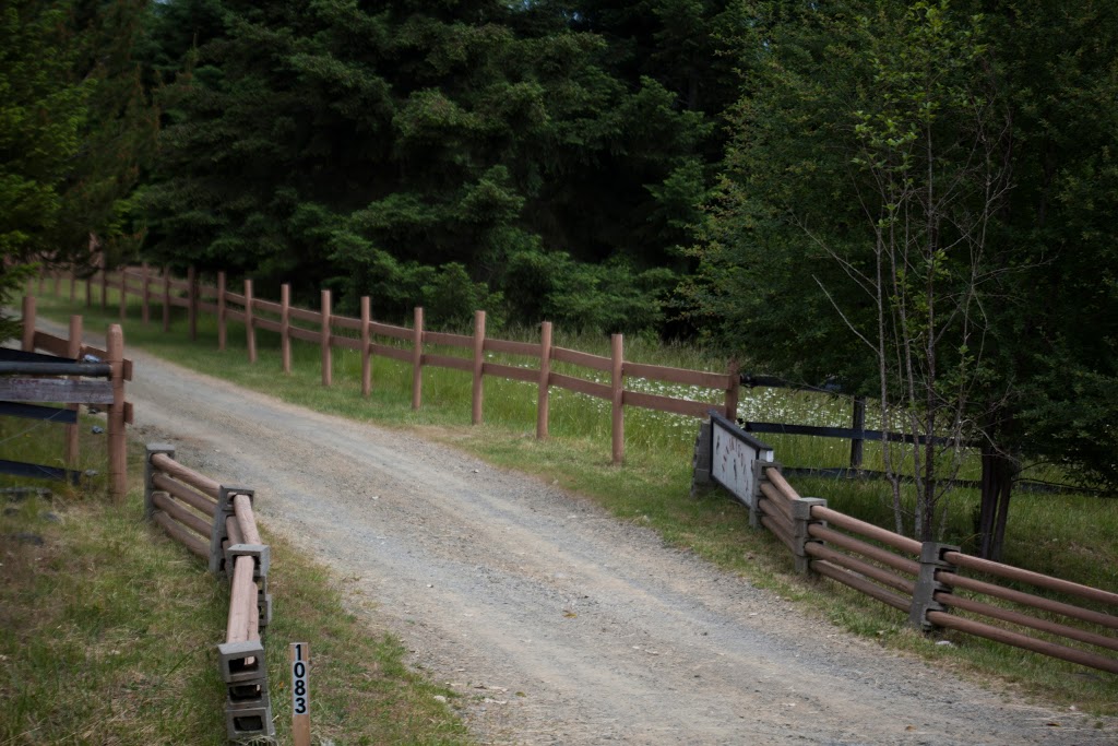 Oceanside Acupuncture & Massage Therapy | 1083 Middlegate Rd, Errington, BC V0R 1V0, Canada | Phone: (250) 228-4229
