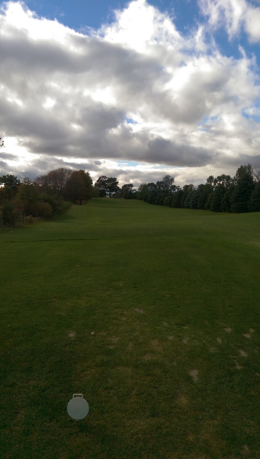 Tillsonview Fairways | 380 3rd Concession NTR, Tillsonburg, ON N4G 4G9, Canada | Phone: (519) 688-2868