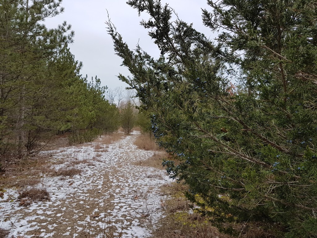 Ausable Bayfield Conservation Authority (ABCA) | 71108 Morrison Line, Exeter, ON N0M 1S5, Canada | Phone: (519) 235-2610