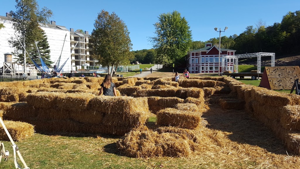 Horseshoe Adventure Park | 21 Birch Grove Dr, Barrie, ON L4M 4Y8, Canada | Phone: (800) 461-5627