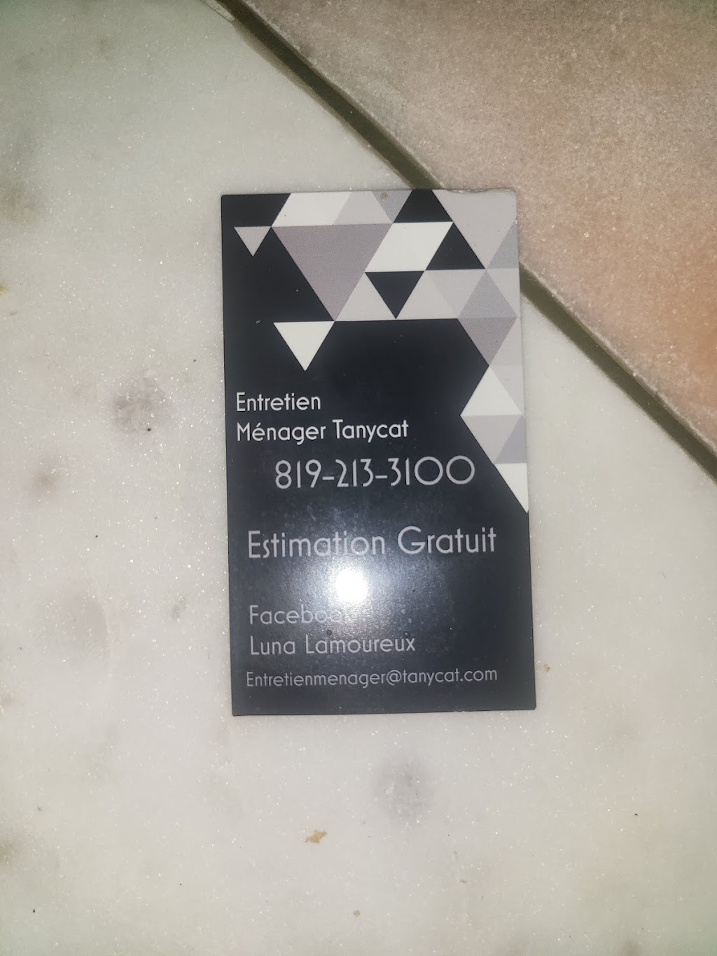 Entretien Ménager Tanycat | 64 Chem. Watson, Val-des-Monts, QC J8N 5A9, Canada | Phone: (819) 213-3100