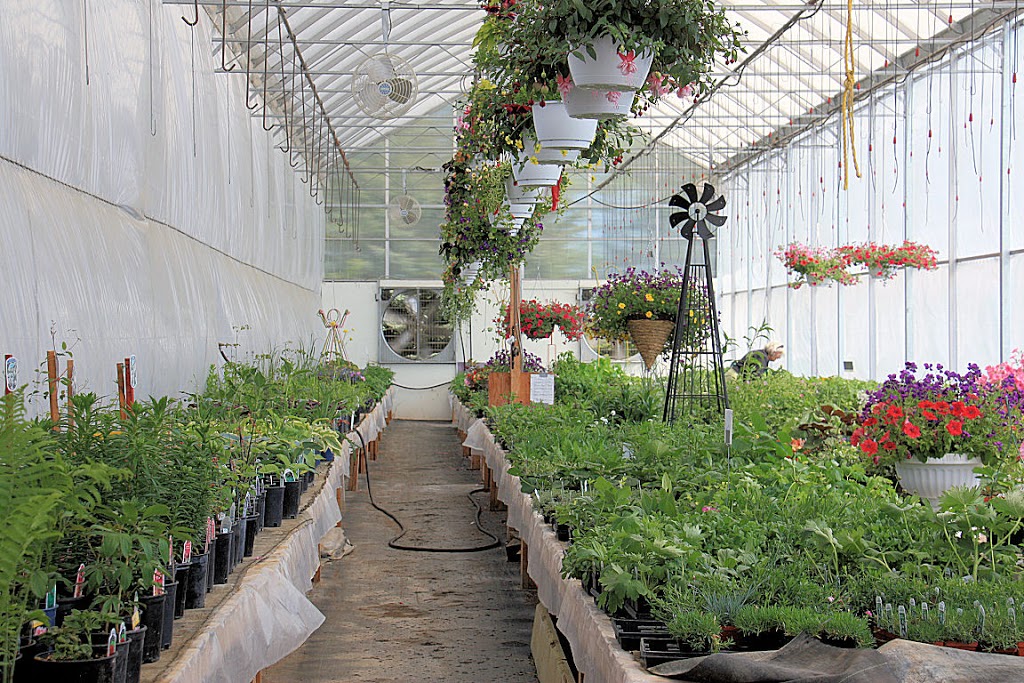U & K Greenhouses Ltd | 5 Miles North of Indian Head on Highway 56 Call for Hours of Operation, Indian Head, SK S0G 2K0, Canada | Phone: (306) 695-2056