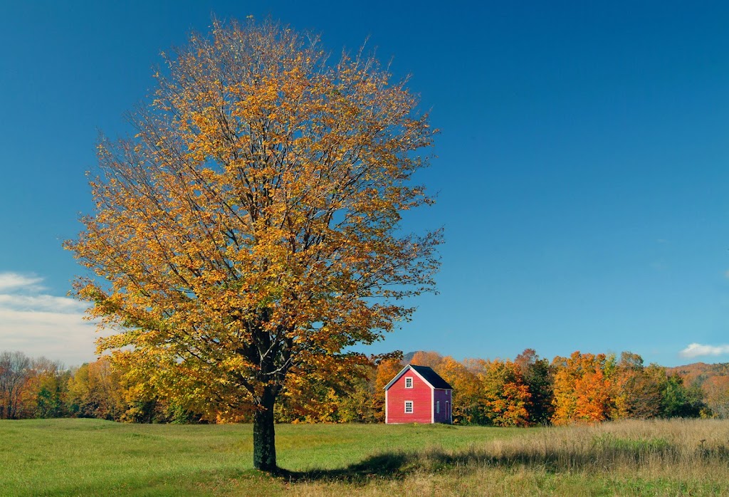Photographe de Sherbrooke Stéphane Lemire | 1290 Rue Letendre, Sherbrooke, QC J1K 3A4, Canada | Phone: (819) 346-1527