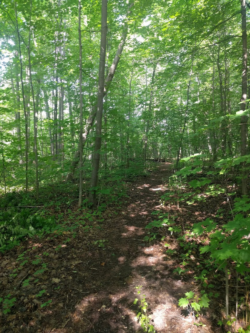 Kindle Court Park | Canadian Army Base - NRC - Rothwell Heights, Ottawa, ON K1J, Canada