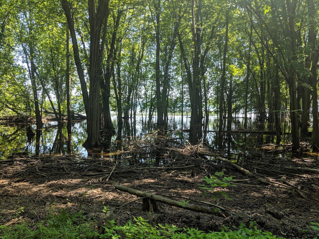 North Hero State Park | 3803 Lakeview Dr, North Hero, VT 05474, USA | Phone: (802) 372-8727