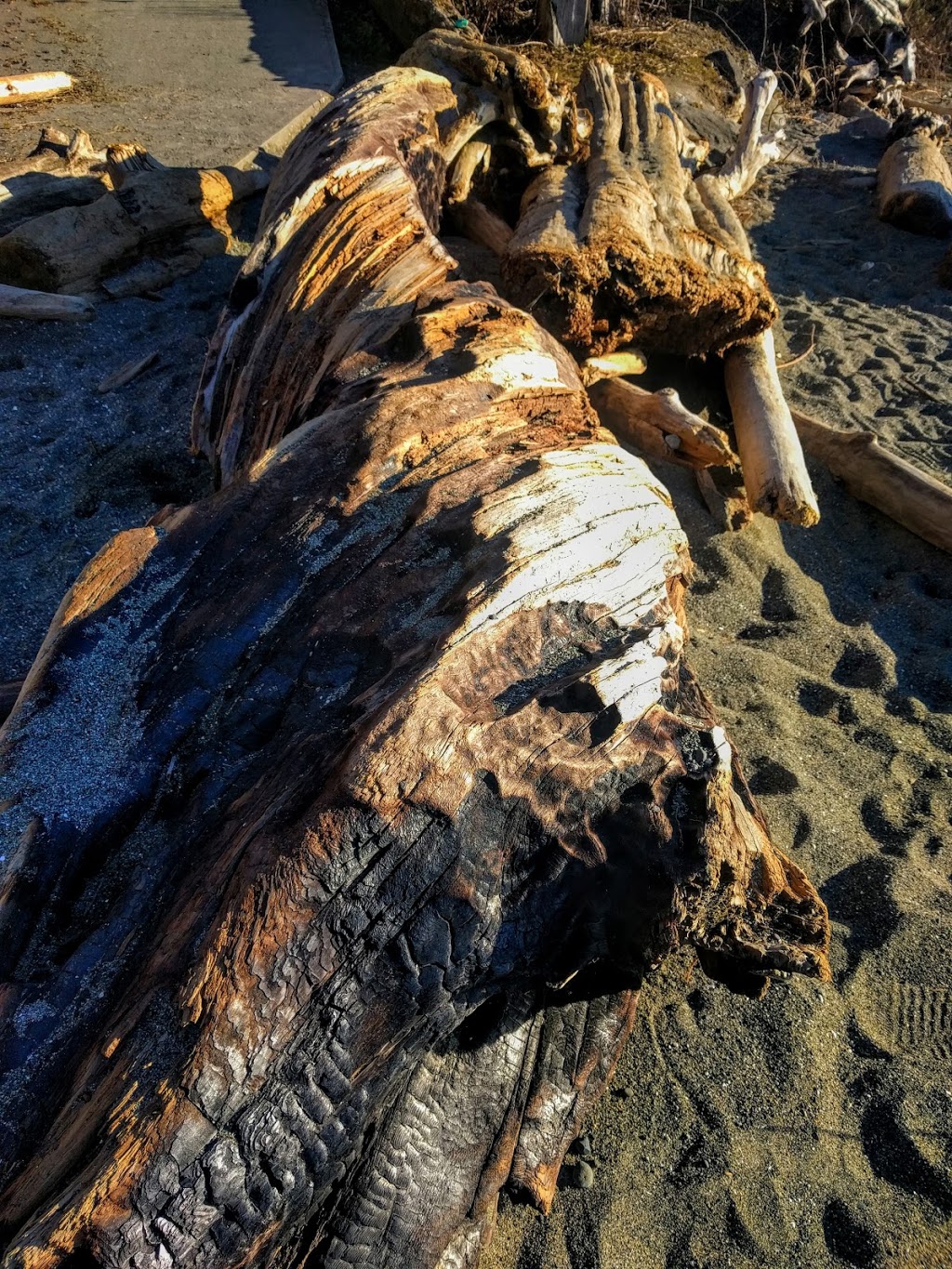 Tsawwassen Beach | Tsawwassen, Delta, BC V4M 2M9, Canada