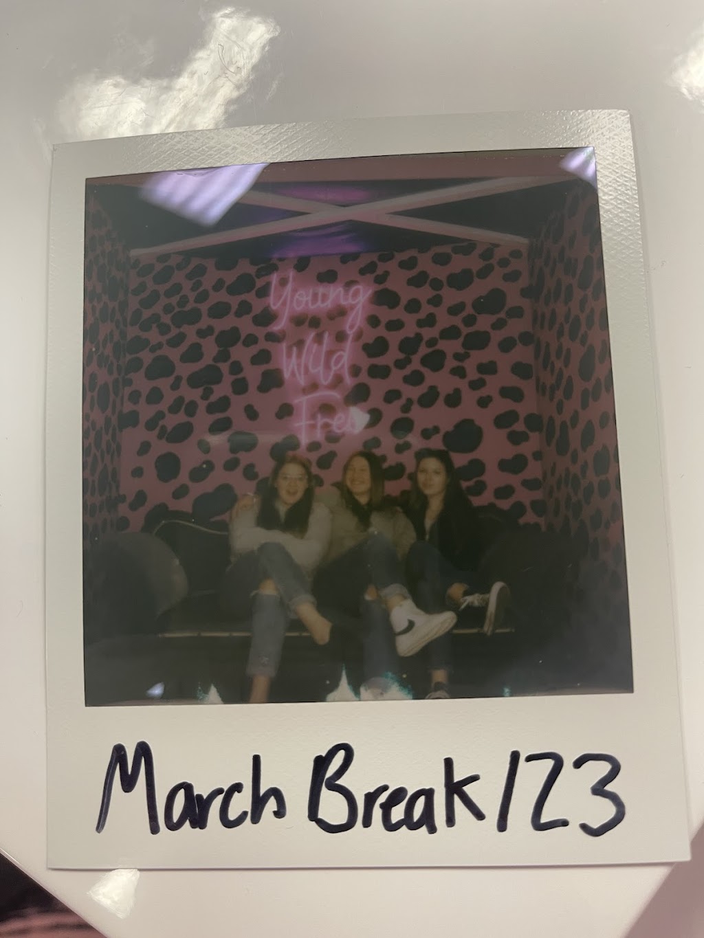The Photo Booth Selfie Studio | Old Rte 325 Rd, Blockhouse, NS B0J 1E0, Canada | Phone: (902) 531-2177