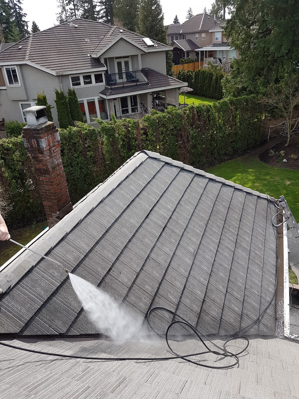 Benchmark Cleaning Services | 8615 147a St, Surrey, BC V3S 6R6, Canada | Phone: (778) 239-6590