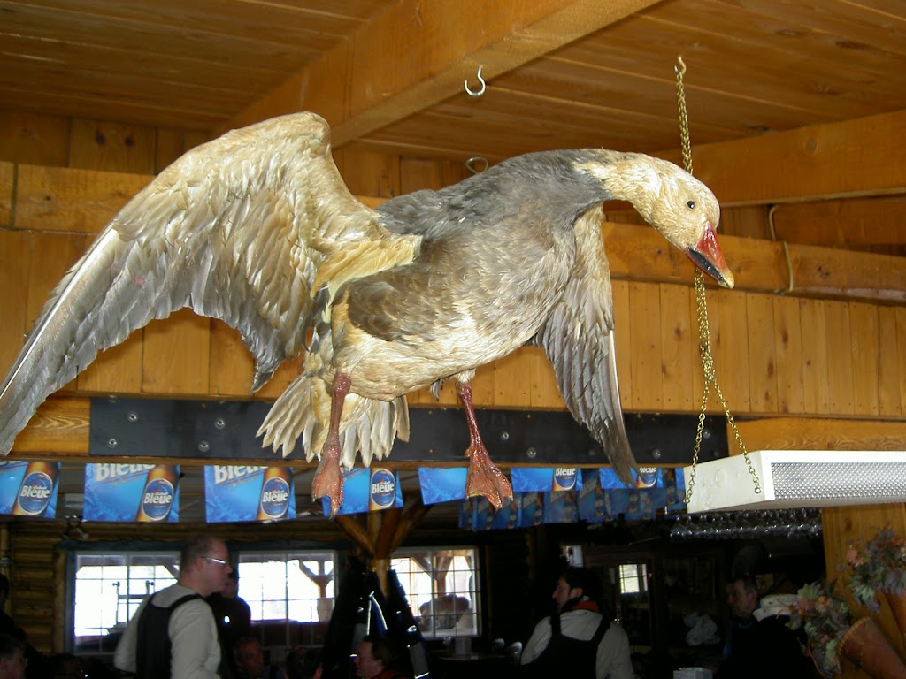 Pourvoirie Le LAC DU REPOS | Saint-Michel-des-Saints, QC J0K 3B0, Canada | Phone: (514) 600-0372