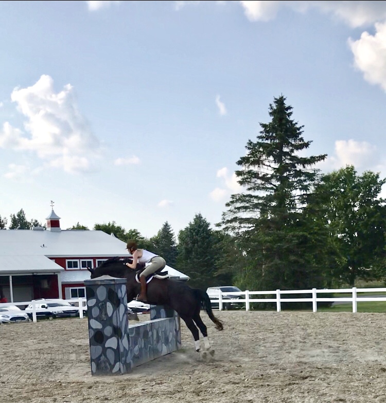 SWEETGRASS EQUESTRIAN | 13510 Fifth Line Nassagaweya, Rockwood, ON N0B 2K0, Canada | Phone: (289) 971-8778