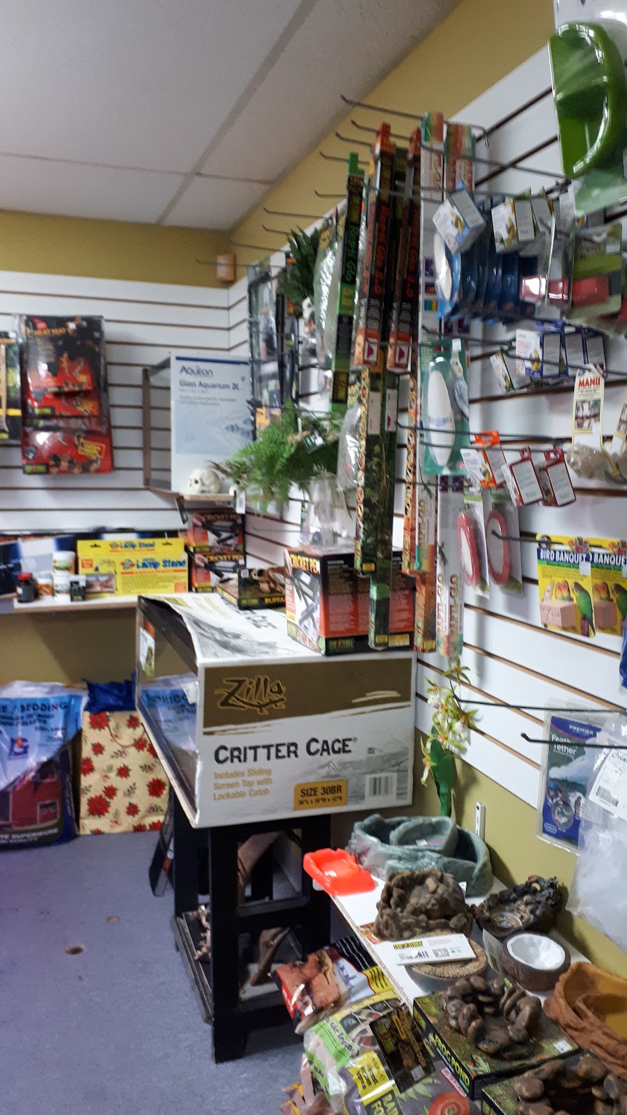 animalerie la fine griffe | 5700 Rue Martineau, Saint-Hyacinthe, QC J2R 1T6, Canada | Phone: (450) 796-4090