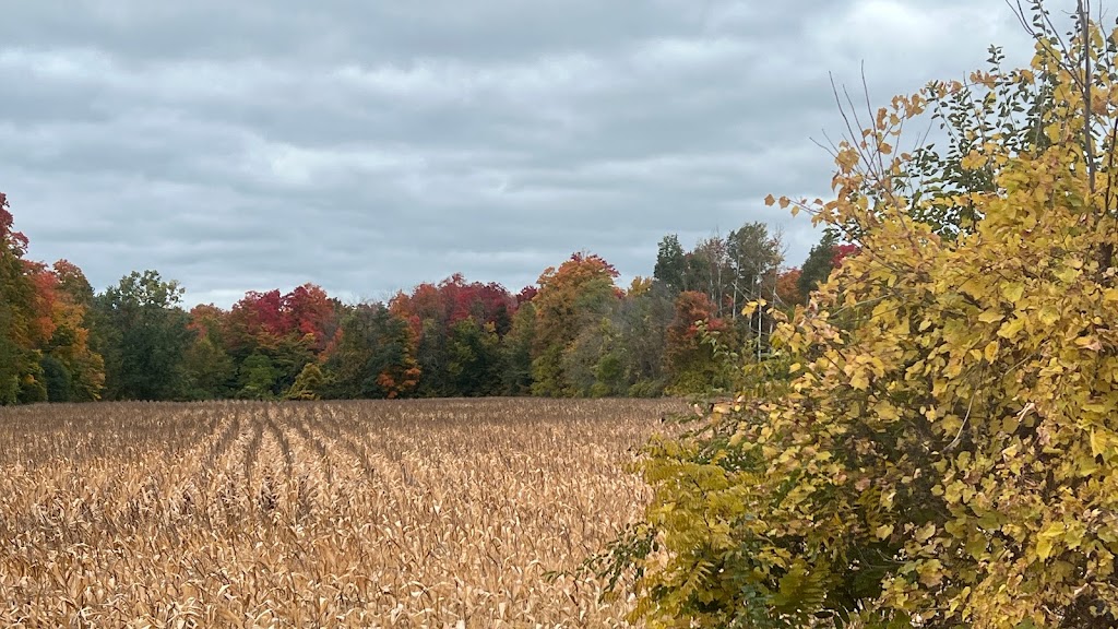 Waterloo (Northfield) Train Station | 90 Northfield Dr W, Waterloo, ON N2L 5A6, Canada | Phone: (888) 899-2757