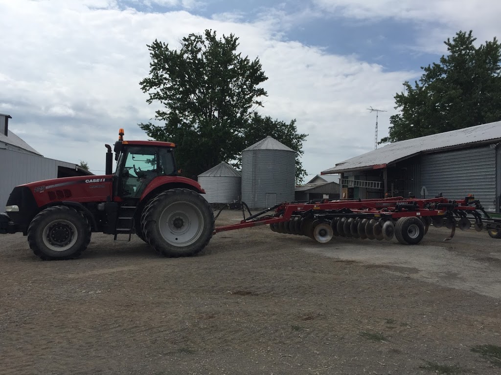 ONeils Farm Equipment & Lawn and Garden Equipment | 2461 Hwy 56, Binbrook, ON L0R 1C0, Canada | Phone: (905) 572-6714