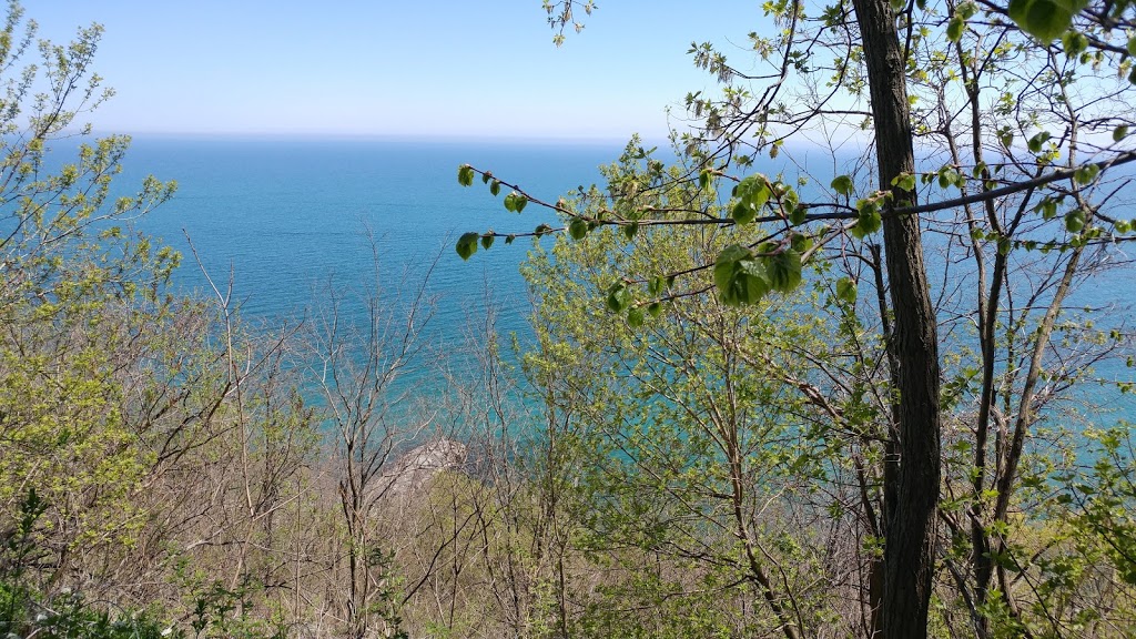 Rosetta McClain Gardens | 5 Glen Everest Rd, Scarborough, ON M1N 1J2, Canada | Phone: (416) 392-8188