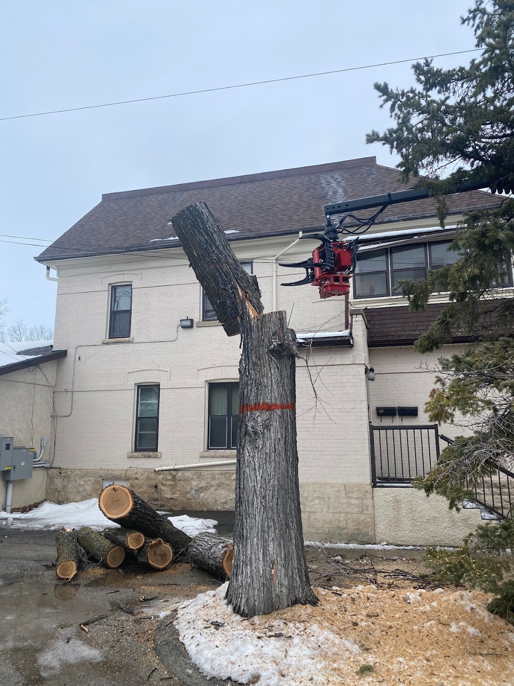 ASAP Tree & Stump Ltd | 130 Haarsma St, East Saint Paul, MB R2E 0M8, Canada | Phone: (204) 663-3889