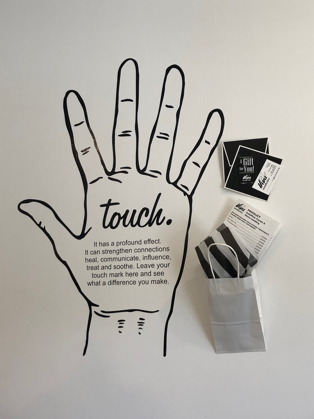 Viva Aesthetics | 1 Cross St, Dundas, ON L9H 2R3, Canada | Phone: (905) 628-8804