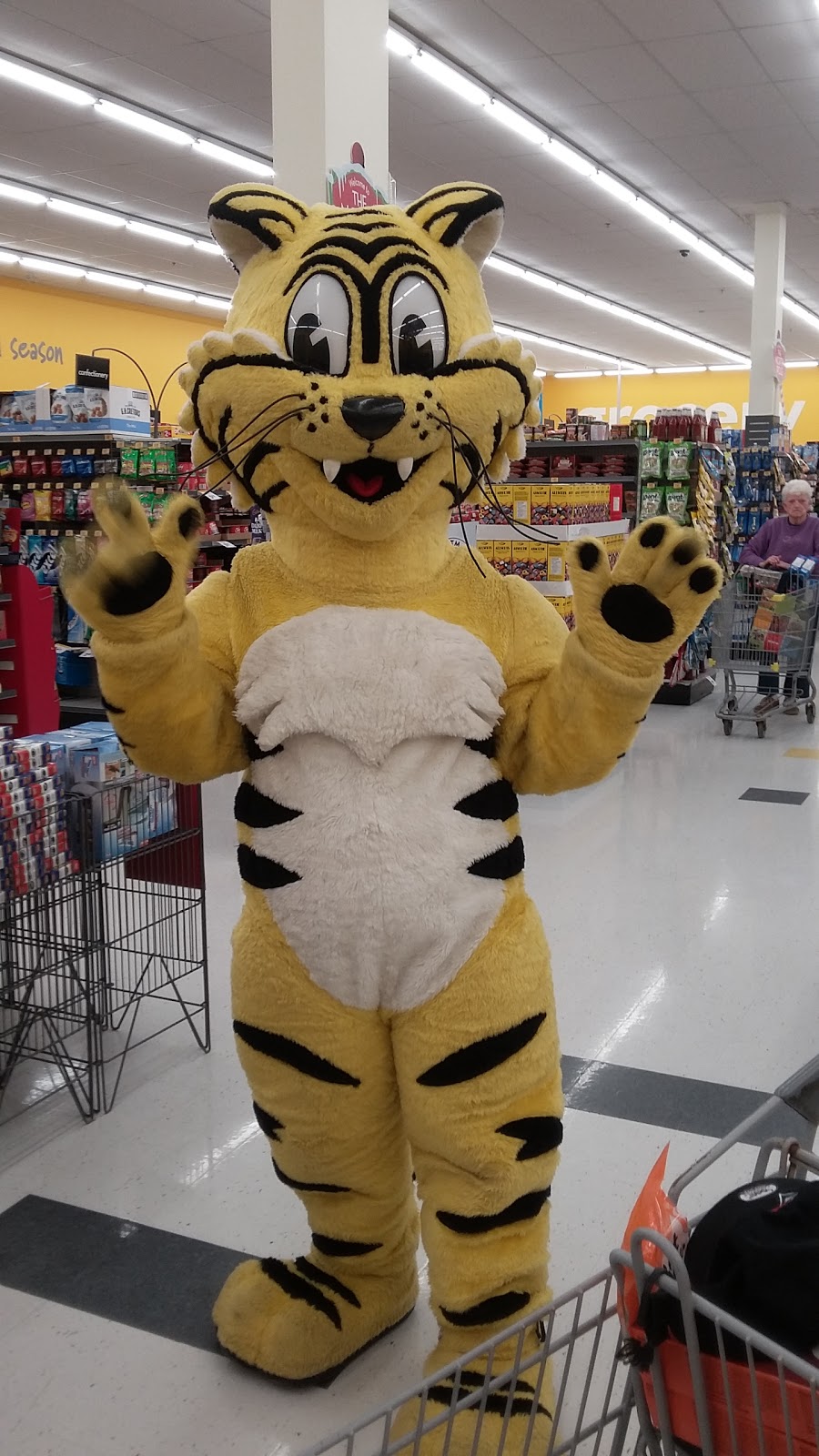 Giant Tiger | 6081 Hazeldean Rd, Stittsville, ON K2S 1B9, Canada | Phone: (613) 836-4593