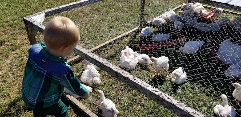 Hope River Farm | 4236 St Marys Rd, Hunter River, PE C0A 1N0, Canada | Phone: (902) 621-1958