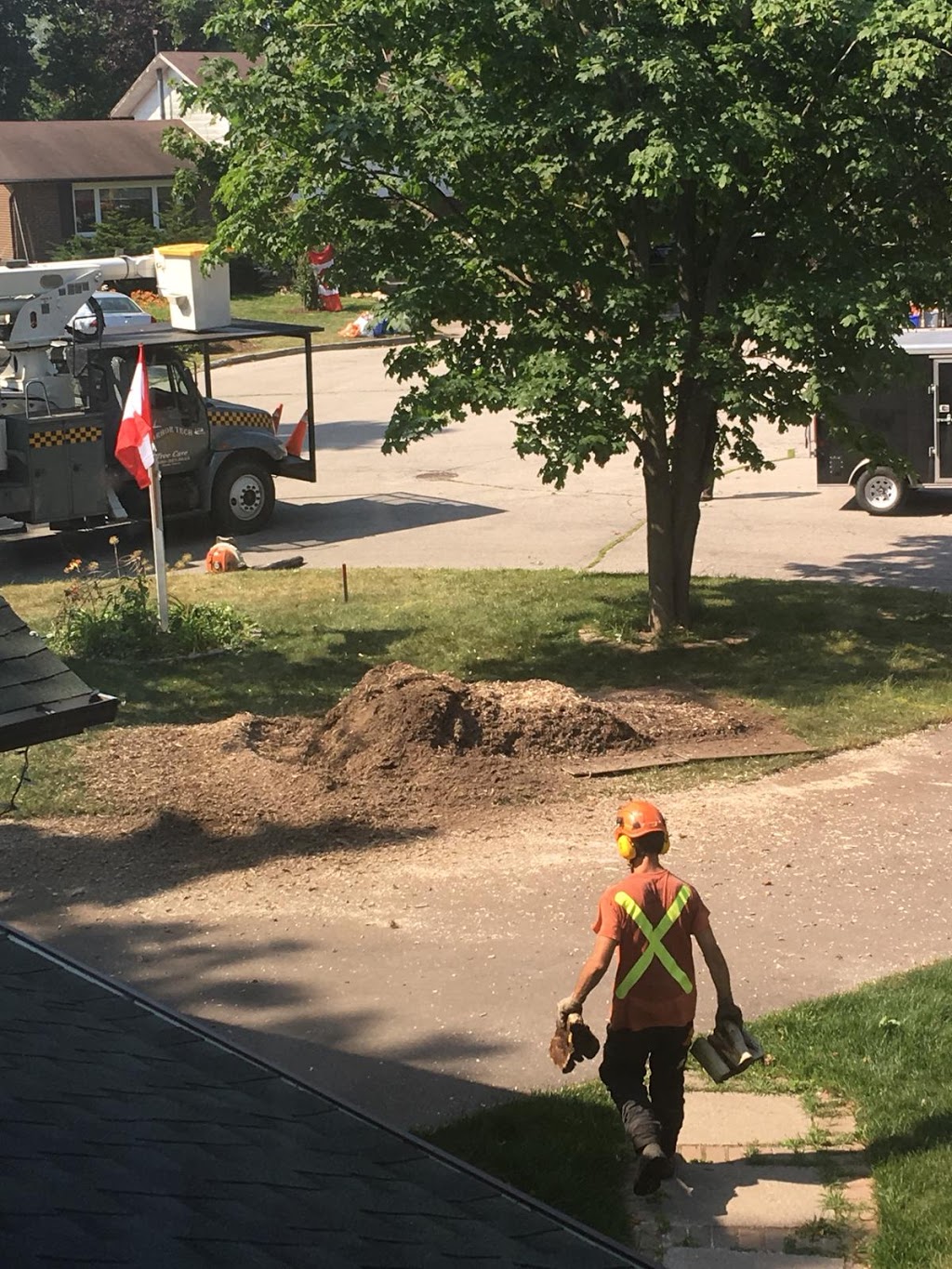 Arbor Tech Tree Care | 2360 Brock St, Manilla, ON K0M 2J0, Canada | Phone: (800) 327-3653