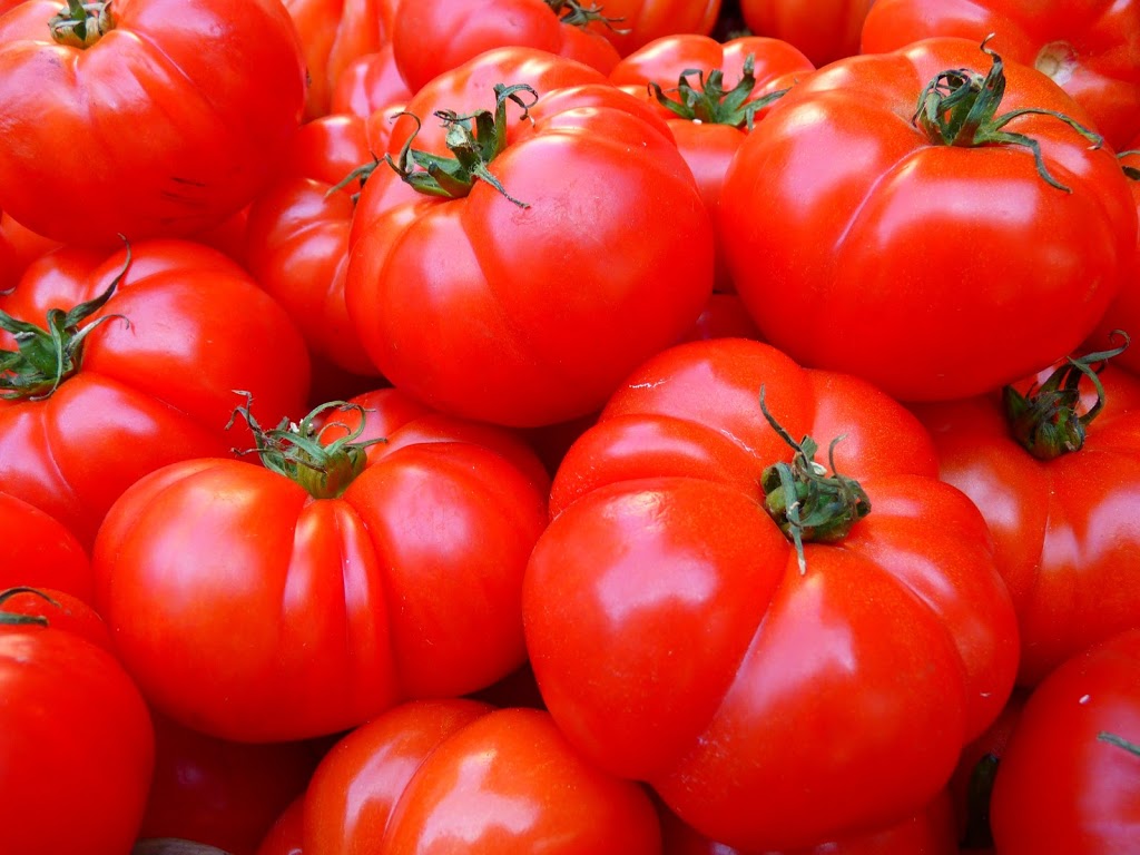 Ferme aux petits oignons | 515 Chemin de Brébeuf, Mont-Tremblant, QC J8E 2E1, Canada | Phone: (819) 681-7303
