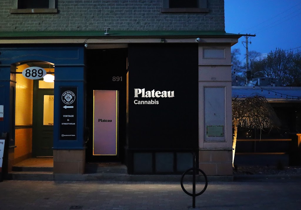 Plateau | 891 Bank St, Ottawa, ON K1S 3W4, Canada | Phone: (613) 422-9399