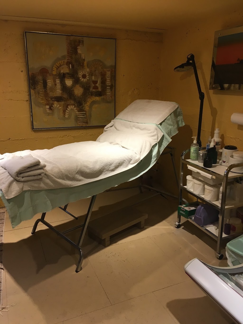 Brows To Brazilian - Alexandria Body Sugaring | 136161 Conc 8, Desboro, ON N0H 1K0, Canada | Phone: (519) 377-0707