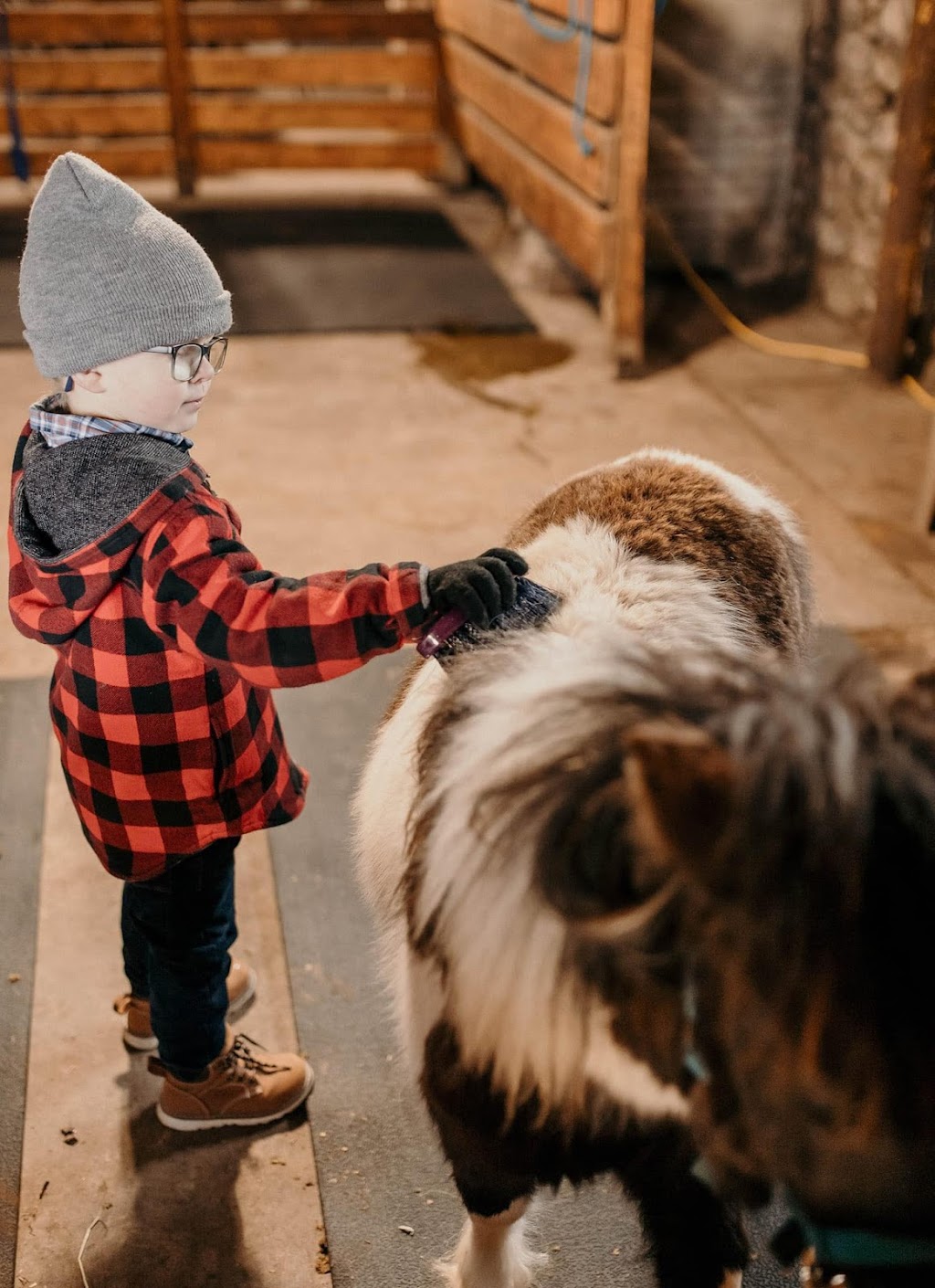 Peaceful Place Equestrian & Wellness Facility Inc. | 687399 Oxford 2, Princeton, ON N0J 1V0, Canada | Phone: (226) 388-4225