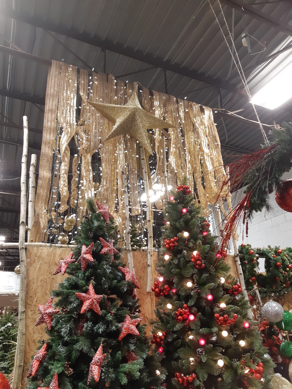 Fl;euriste et Centre de jardin Terre Nature Inc | 4515 Boulevard Saint-Joseph, Drummondville, QC J2A 1A9, Canada | Phone: (819) 479-0837