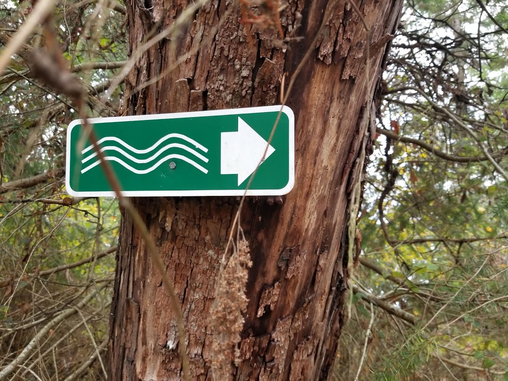 Shore Access 38 | Galiano Island, BC V0N 1P0, Canada