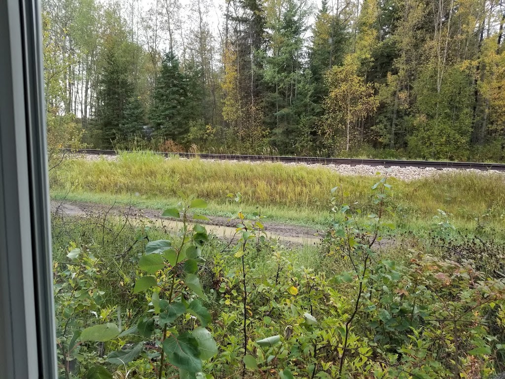 Shoreline Shore Resort Ltd. | 650046A Range Road 185, County of Athabasca East of Boyle on Hwy 663 to RR 185, Boyle, AB T0A 0M0, Canada | Phone: (780) 689-4363
