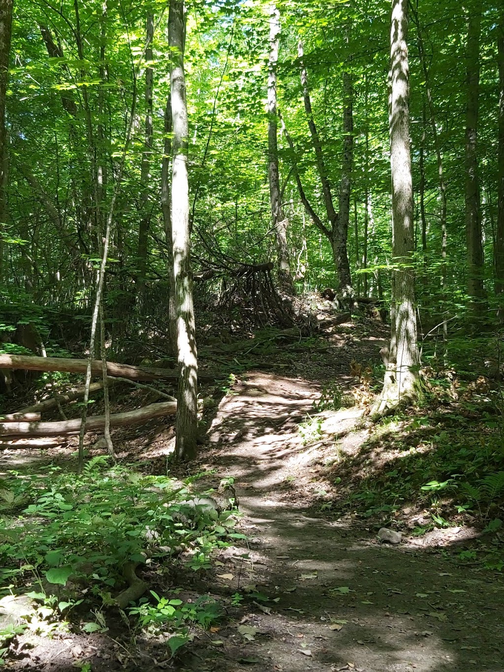 Sidney Conservation Area | 379 Airport Rd, Stirling, ON K0K 3E0, Canada | Phone: (613) 968-3434