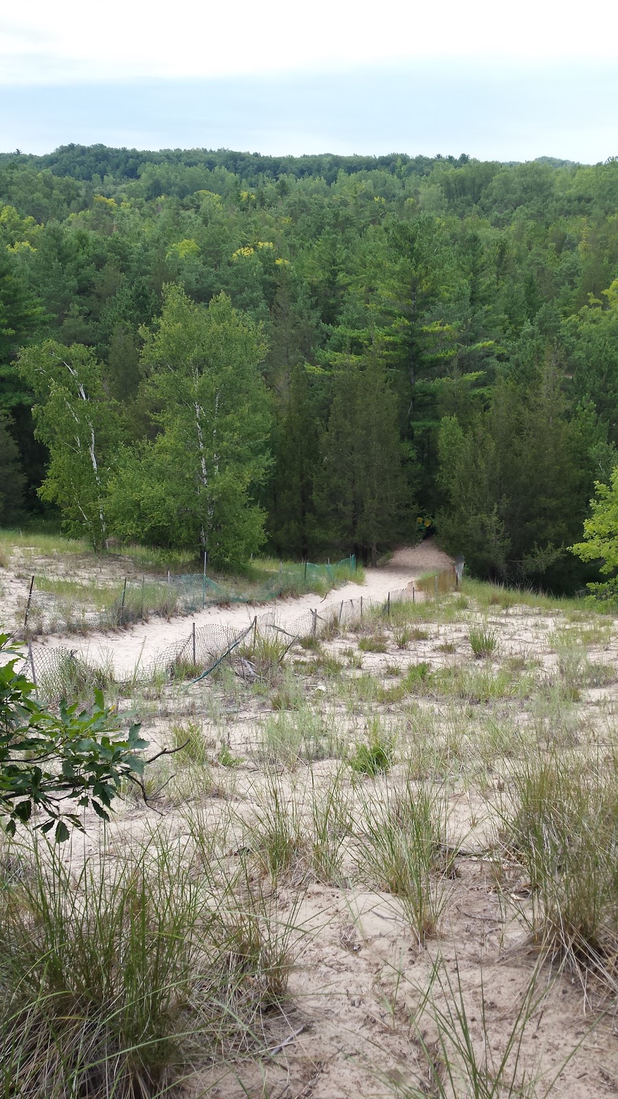Scouts Canada Camp Attawandaron | 8916 Lakeshore Rd, Port Franks, ON N0M 2L0, Canada | Phone: (519) 243-2700