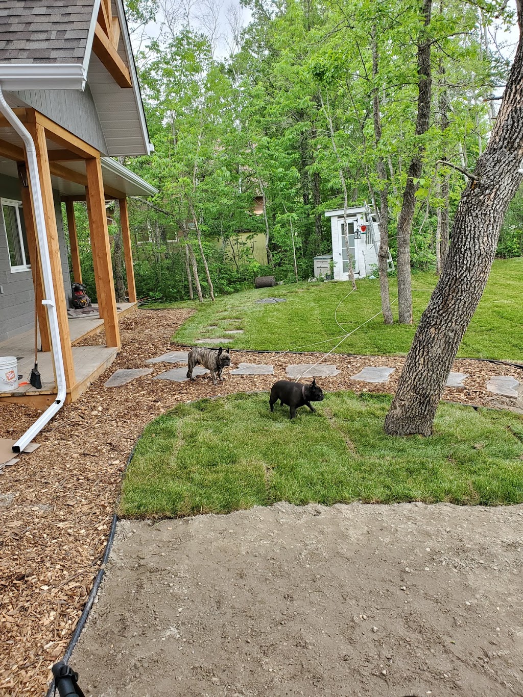 Hildebrand Sod Farm | Box 16, Stead, MB R0E 1Z0, Canada | Phone: (204) 635-2334