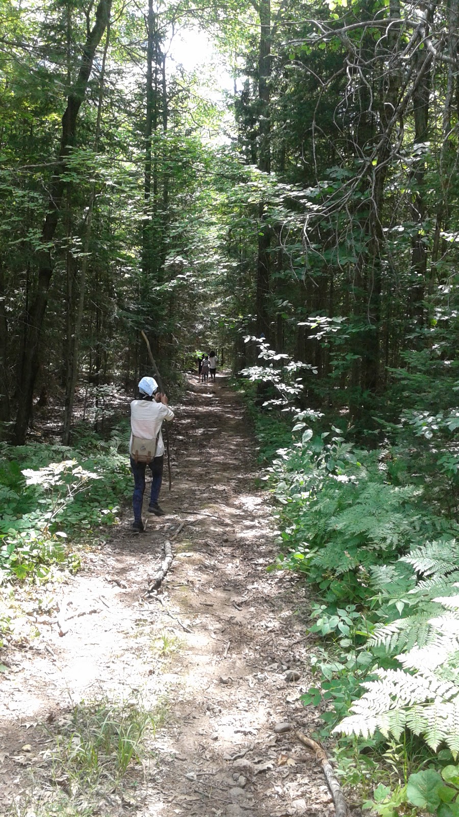 Old Stone Road Trail | 1576-, 1626 N Muldrew Lake Rd, Gravenhurst, ON P1P 1R2, Canada